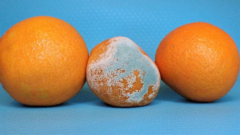 Disinfecting fruits | Vita Guard